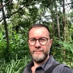 Dave Timms - @dave.timms.167 - Instagram