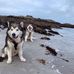 Dave Tinker - Facebook