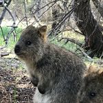 DaveTinker - @davetinker0616 - Instagram