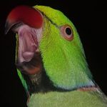 David Tipping - @tipping799 - Instagram