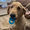 Dave Tompkins - @dave.tompkins - TikTok
