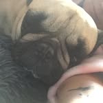 Dave Topping - @topping.dave - Instagram