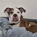 Dave Topping - Facebook