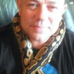 David Topping - @david.topping.969 - Instagram