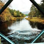 Dave Trotter - @davetrotter2200 - Instagram
