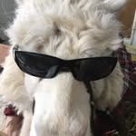 Dave Trudel - @dedetrud76 - Instagram