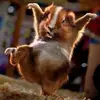 davetrudel4 - @davetrudel4 - TikTok