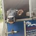 Dave Twiggs - Facebook