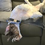 David Vallance - @david.valance - Instagram