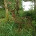 Dave Vickers - Facebook
