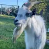 davevickers84 - @davevickers84 - TikTok