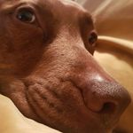 Dave Warwick - @dave.warwick.33865 - Instagram