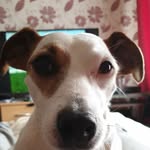 Dave Warwick - @daveypickle85 - Instagram
