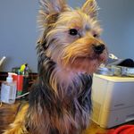 Dave Washburn - @daveawash77 - Instagram