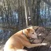 Dave Way - @dave.way0 - TikTok