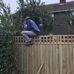 Dave Wayman - Facebook