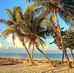 Dave Weide - Facebook