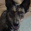 Dave Weitzenkamp - @dave.weitzenkamp - TikTok
