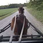 Dave Wengerd - @wengerddave - Instagram