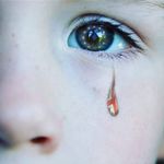 Dave Westover - @dave.westover - Instagram