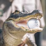 Dave Westover - @djwesty56 - Instagram