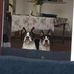 Dave Whiting - Facebook