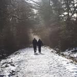 Dave Whiting - @davidwhiting812024 - Instagram