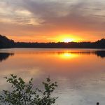Dave Whiting - @wit9994 - Instagram