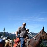 Dave Whitney - @dwhitney535 - Instagram