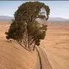 Wilbert Ari Dave - @wilbert.ari.dave - TikTok