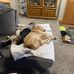 Dave Willey - Facebook