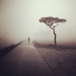 Dave Wills - @dave_wills11 - Instagram