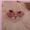 Dave - @winddave - TikTok