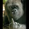 Dave Winder - @davewinder7 - TikTok