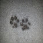 Dave Winder - @windy397 - Instagram