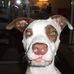 Dave Wingenbach - Facebook