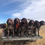 Dave Winkel - @griffonhoarder - Instagram