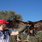 Dave Winn - @8balldave - Instagram