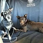 @dave_and_winnie - Instagram