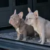 Winnie n Dave xx - @winniendavexx - TikTok