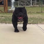Dave Daedae Winstead - @freedommatters1988 - Instagram