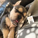 Dave Winston Robinson - @dave_robinson2022 - Instagram