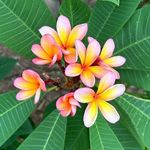 Dave Winterburn - @dave_winterburn - Instagram