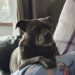 Dave Wiseman - Facebook