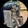 Dave Wiseman - @davewiseman62 - TikTok
