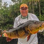 Dave Wiseman - @dewiseman7 - Instagram