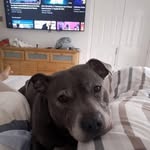 Dave Wix - @wixdave - Instagram