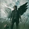 Dave Wolff - @daril_wick - TikTok