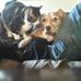 Dave R Woltman - Facebook