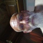 Dave Workman - @daveworkman31 - Instagram
